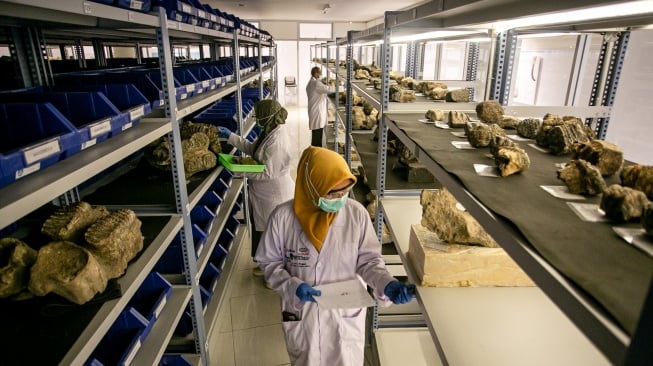 Konservator memeriksa data fosil dan benda purbakala di ruang penyimpanan Laboratorium Konservasi Museum dan Cagar Budaya Klaster Bukuran, Kalijambe, Sragen, Jawa Tengah, Rabu (9/7/2025). [ANTARA FOTO/Mohammad Ayudha/nym]