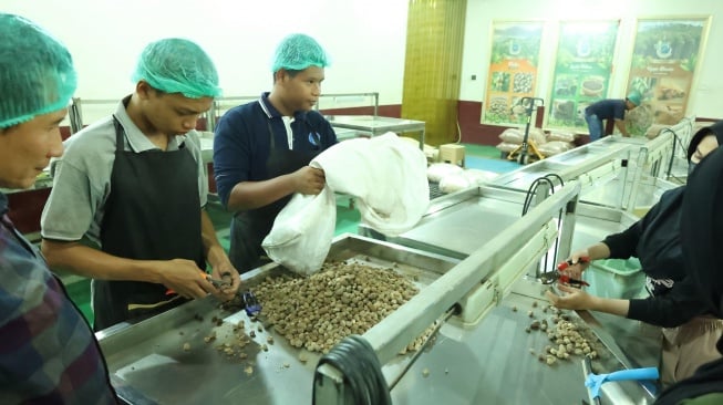 Lembaga Pengelola Dana Bergulir (LPDB) sejak tahun 2022 pembiayaan dana bergulir untuk Koperasi Sabalam (Dok: LPDB)