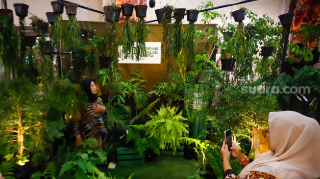 Warga mengunjungi acara Festival Urban Farming 2025 di GOR Soemantri Brodjonegoro, Jakarta, Jumat (11/7/2025). [Suara.com/Alfian Winanto]