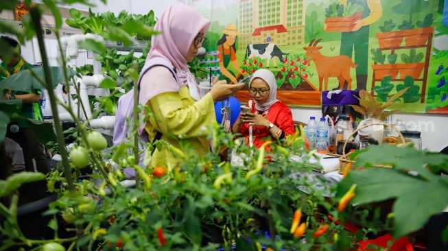 Warga mengunjungi acara Festival Urban Farming 2025 di GOR Soemantri Brodjonegoro, Jakarta, Jumat (11/7/2025). [Suara.com/Alfian Winanto]