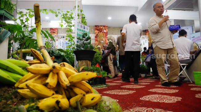 Warga mengunjungi acara Festival Urban Farming 2025 di GOR Soemantri Brodjonegoro, Jakarta, Jumat (11/7/2025). [Suara.com/Alfian Winanto]