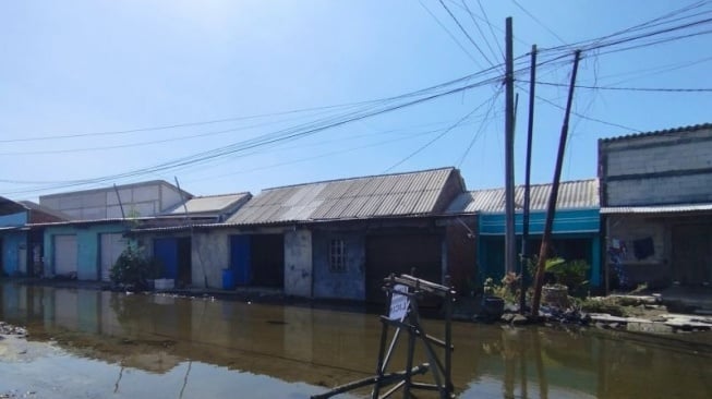 Demak Tak Menyerah! "Giant Sea Wall Hybrid" Jadi Harapan Baru Atasi Rob Menahun