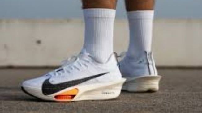 Nike Pegasus41