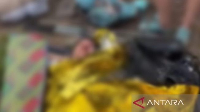 Foto di blur dari potongan gambar video wisatawan asal Swiss, BE (46) yang terjatuh saat perjalanan menuju Danau Segara Anak, Gunung Rinjani, Rabu (16/7/2026). ANTARA/Nur Imansyah.