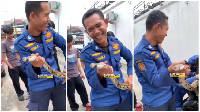 Damkar evakuasi ular sanca di dalam motor matic (Instagram)