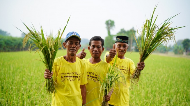 Produksi Petani Bulutana Naik 65 Persen Lewat PKT Berseri