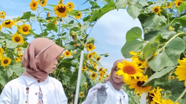 4 Spot Foto Bunga-Bunga Cantik di Batu yang Instagramable dan Bikin Betah!