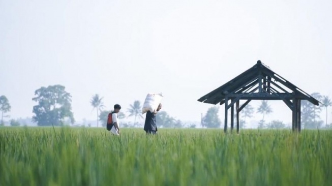 Rp 300 Miliar untuk Pertanian IKN: PPU Gandeng BUMN Korea Selatan