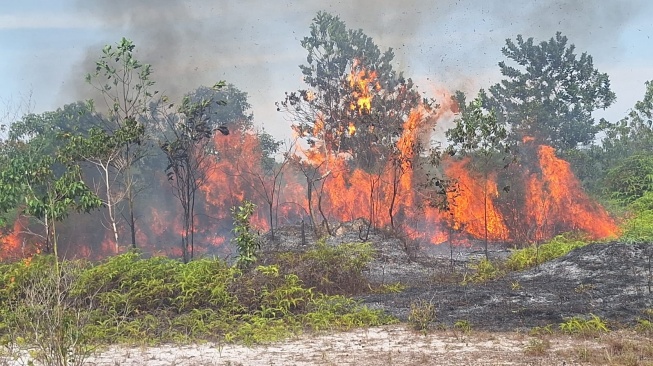 Kebakaran Lahan Dekat Pemukiman, Warga Kampar Panik Berhamburan Keluar Rumah