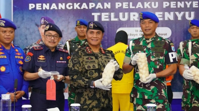 Kasus penyelundupan telur penyu di Kalbar (Antara)