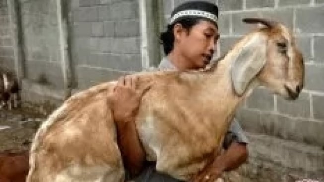 Apa Hukum Anak yang Belum Aqiqah dalam Syariat Islam? Ini Penjelasan Muhammadiyah