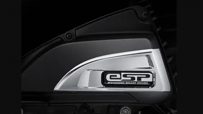 Garnish Air Cleaner Honda Scoopy (AHM)