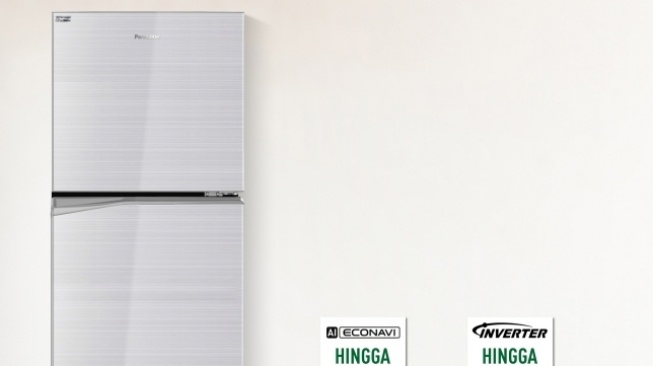 Panasonic NR-BB210V-S