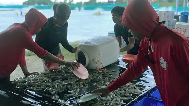 Kisah Ayah dan Anak dari Pasangkayu: Membangun Masa Depan dari Tambak Udang