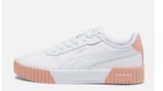  Puma Carina 2.0