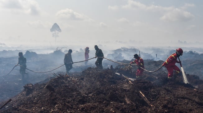 Petugas Manggala Agni Daops Kota Jambi bersama aparat TNI dan kepolisian memadamkan api kebakaran hutan dan lahan (karhutla) di lahan gambut Desa Gambut Jaya, Muaro Jambi, Jambi, Kamis (24/7/2025). [ANTARA FOTO/Wahdi Septiawan/bar]