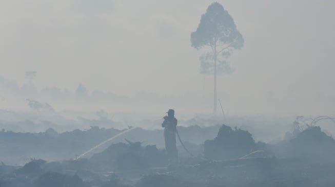 Petugas Manggala Agni Daops Kota Jambi memadamkan api kebakaran hutan dan lahan (karhutla) di lahan gambut Desa Gambut Jaya, Muaro Jambi, Jambi, Kamis (24/7/2025). [ANTARA FOTO/Wahdi Septiawan/bar]