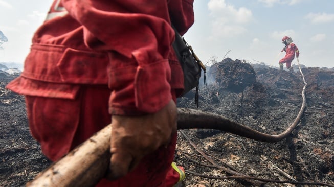 Petugas Manggala Agni Daops Kota Jambi memadamkan api kebakaran hutan dan lahan (karhutla) di lahan gambut Desa Gambut Jaya, Muaro Jambi, Jambi, Kamis (24/7/2025). [ANTARA FOTO/Wahdi Septiawan/bar]