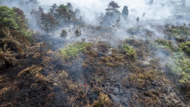 Foto udara aparat TNI dan petugas Manggala Agni Daops Kota Jambi memadamkan api kebakaran hutan dan lahan (karhutla) di lahan gambut Desa Gambut Jaya, Muaro Jambi, Jambi, Kamis (24/7/2025). [ANTARA FOTO/Wahdi Septiawan/bar]
