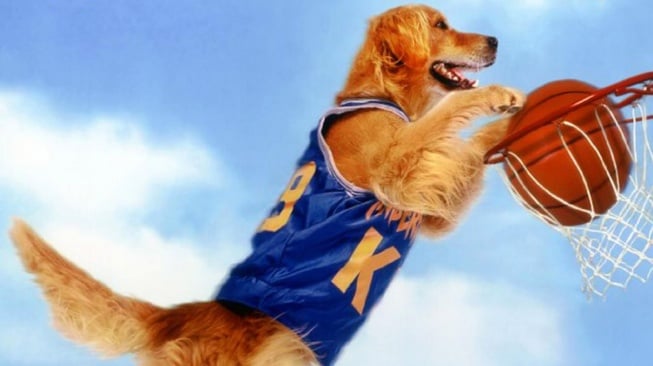 Air Bud: Golden Receiver dirilis pada 1998 dan meraih box office saat itu. [YouTube]