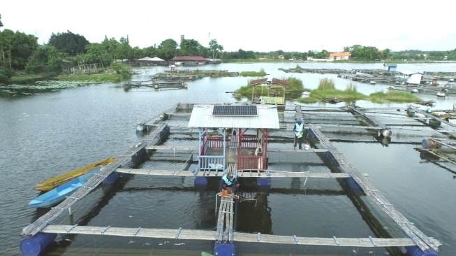 Dongkrak Produktivitas Nelayan, UBP Grati Pasang PLTS di Keramba Danau Ranu