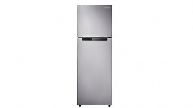 Samsung Inverter 256L RT25FARBDSA - SE (samsung.com)