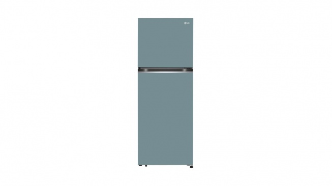 LG 340L - 315 L object collection GN-BB312PQCM (lg.com)