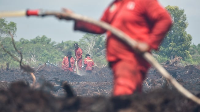 Petugas Manggala Agni Daops Kota Jambi memadamkan api kebakaran hutan dan lahan (karhutla) di lahan gambut Desa Gambut Jaya, Muaro Jambi, Jambi, Rabu (30/7/2025). [ANTARA FOTO/Wahdi Septiawan/foc]