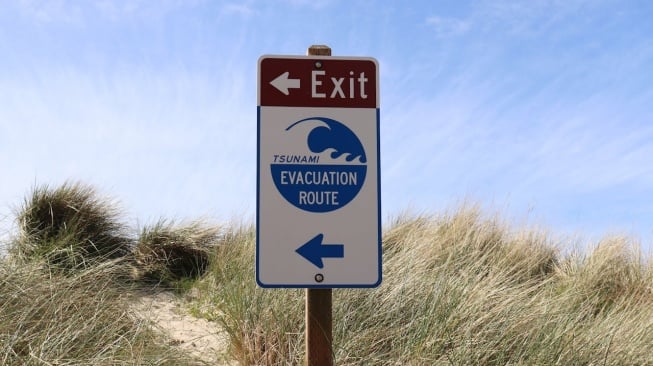 ilustrasi tsunami (Pexels/Max J)