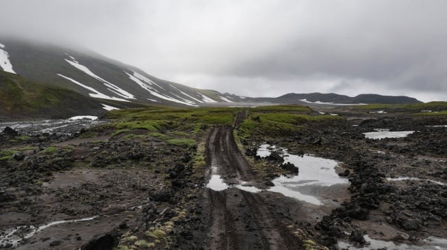 potret Semenanjung Kamchatka Rusia (Pexels/Anna Shvets)