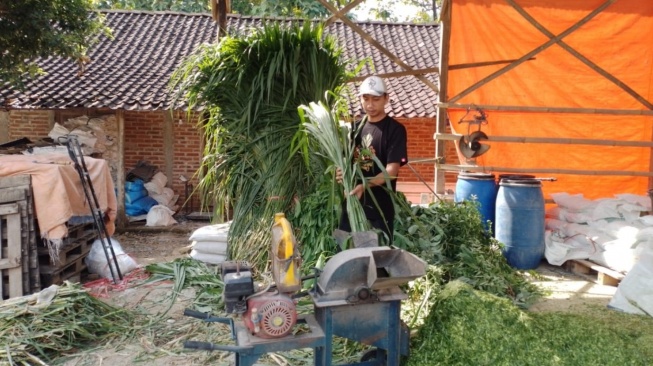 Hingga Akhir Triwulan II tahun Ini, BRI Telah Menyalurkan KUR Sebesar Rp83,88 Triliun