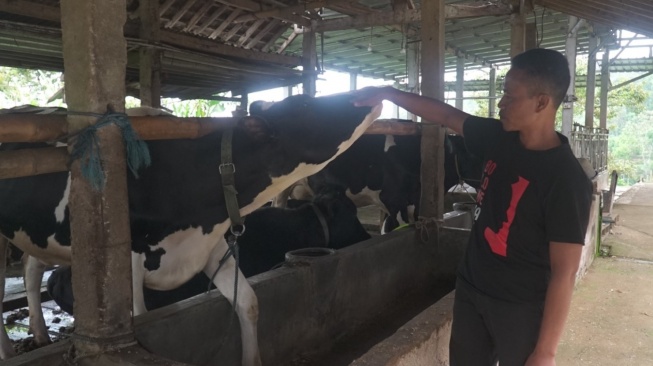 Kisah Pengusaha Pakan Ternak dari Ponorogo Ini Buktikan KUR BRI Bisa Bikin Usaha Berkembang