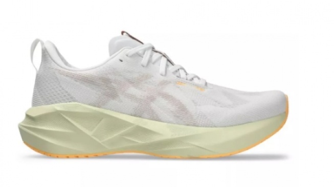 Asics Novablast 5