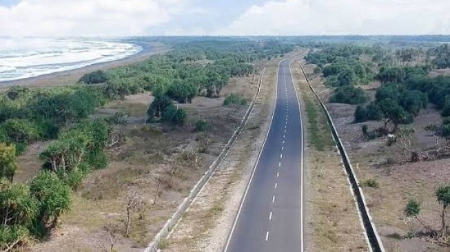 Pemkab Jember Bebaskan 59,45 Km Lahan Demi Lanjutkan Proyek Jalan Lintas Selatan