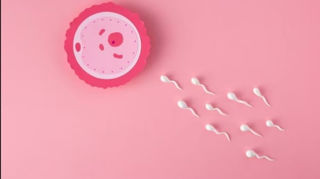 Hari Bayi Tabung Sedunia: Saatnya IVF Lebih Ramah Pasien dan Terjangkau untuk Semua!
