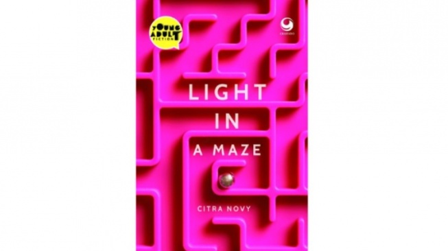 Ulasan Novel Light in a Maze: Cinta Bersemi dalam Kabut Ingatan yang Kelam