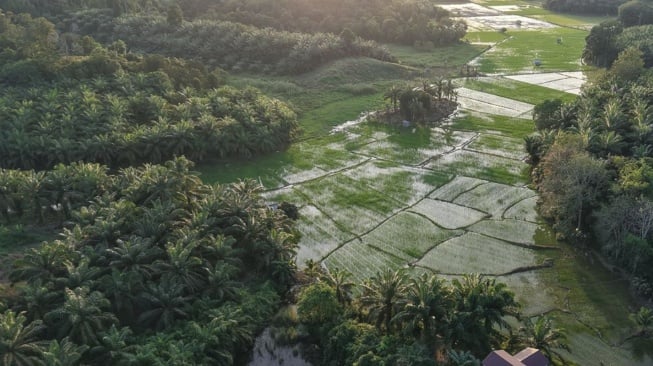 Brantas Abipraya Dukung Asta Cita Lewat Pembangunan Irigasi  di Empat Wilayah Indonesia