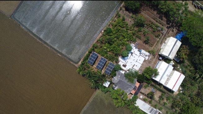 Optimalkan PLTS, Pertamina NRE Dongkrak Pertanian di Cilamaya