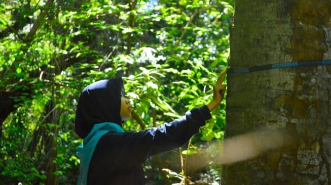 Hari Hutan Indonesia: Seruan dari 1,4 Juta Suara untuk Hutan