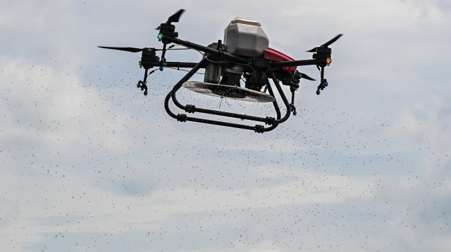 Sebuah drone menebarkan benih padi saat tanam perdana di lokasi cetak sawah rakyat (CSR) di kawasan Bati-Bati, Tanah Laut, Kalimantan Selatan, Selasa (12/8/2025). [ANTARA FOTO/Hafidz Mubarak A/YU]