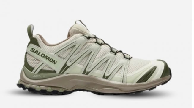 Salomon.