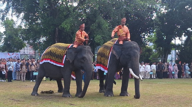 Ketika Gajah Khidmat Peringati Kemerdekaan RI, Kasih Bunga ke Petugas Upacara