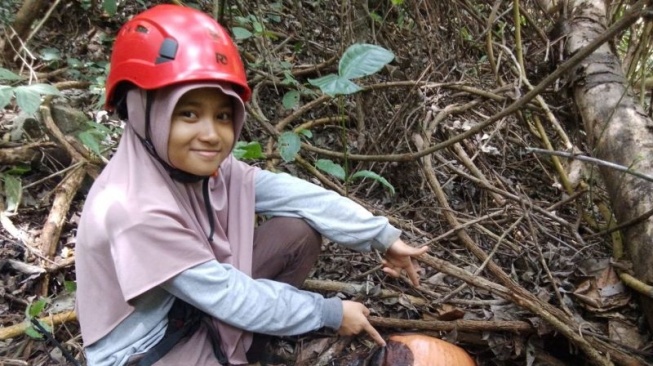 Bonggol Rafflesia Arnoldi Ditemukan di Solok, Bakal Mekar dalam Waktu Dekat!