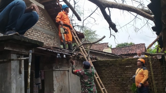 Sleman Diterjang Angin Kencang: Pohon Tumbang, Rumah Rusak Parah di Empat Kapanewon