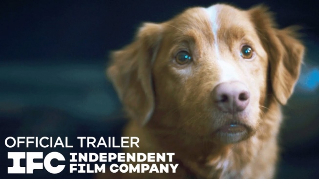 Trailer Good Boy Dirilis, Suguhkan Horor dari Sudut Pandang Seekor Anjing