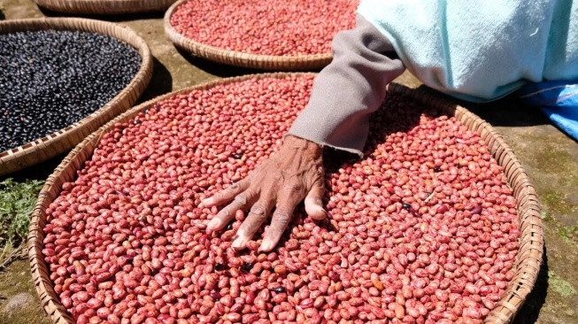 3 Manfaat Kacang Merah, Benarkah Atasi Sembelit?