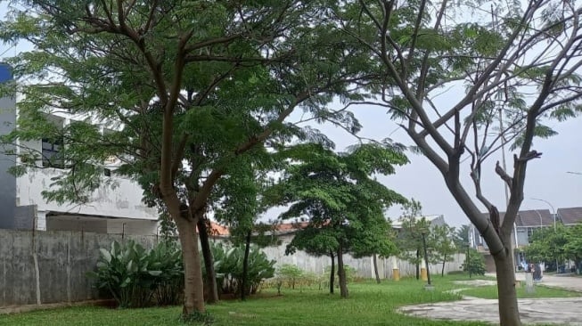 Tantangan Tinggal di Cluster, Ketika Akses Keluar Masuk Dibatasi Tembok