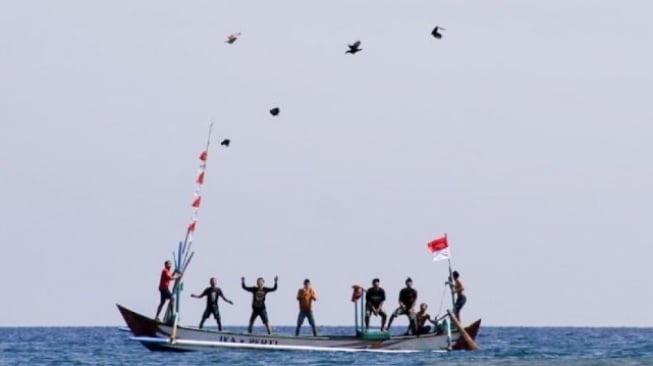 Lomba Ayam Terbang di Pesisir Situbondo