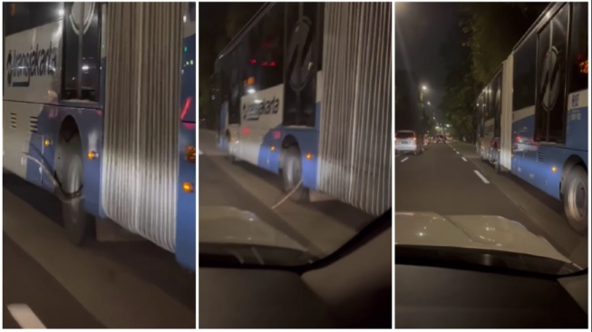 Ular Sanca Nebeng di Busway Gandeng, Bikin Geger Pengguna Jalan!