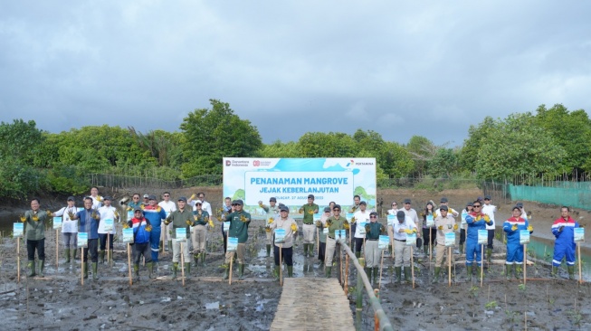 Dukung Ekosistem Hijau, Pertamina Tanam 800 Pohon Mangrove di Pesisir